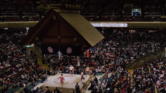 Sumo