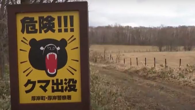 Oso