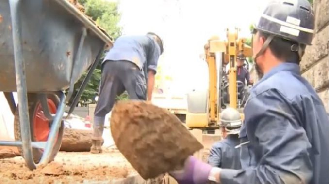 Trabajador vietnamita