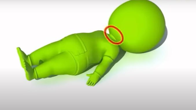 Bebé