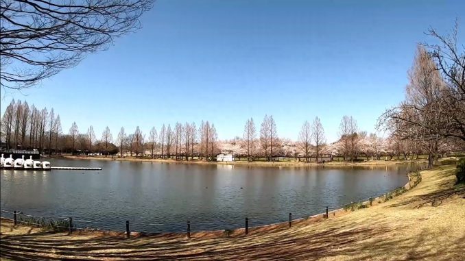 Parque Kawagoe