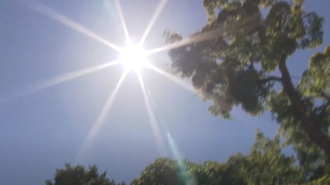 Calor