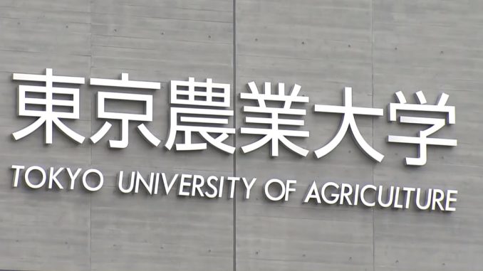 Universidad de Agricultura de Tokio