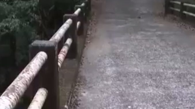 Puente