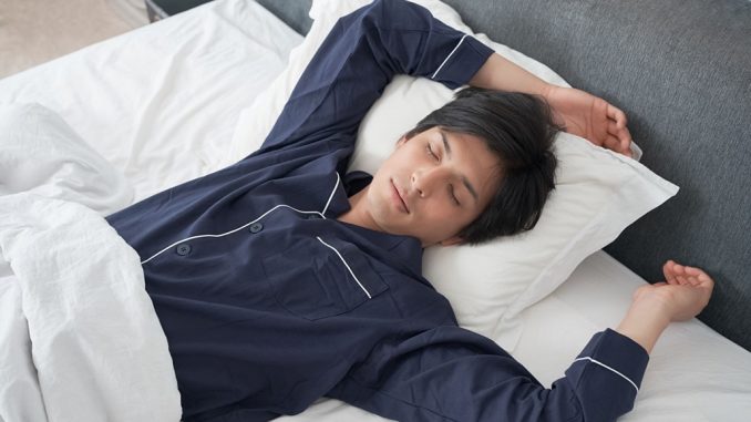 Guía del Sueño de Japón