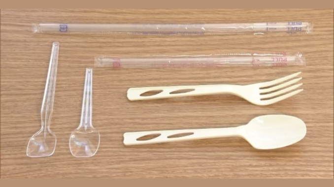 Utensilios de plástico (FamilyMart)