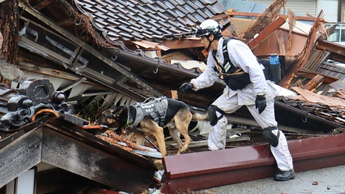 Wajima, un perro de la policía busca supervivientes