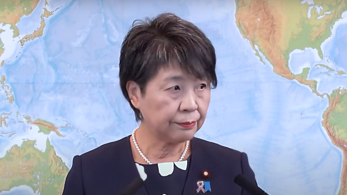 Yoko Kamikawa