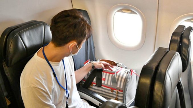 StarFlyer permite mascotas desde el 15 de enero (Tadayuki Yoshikawa - Aviation Wire)
