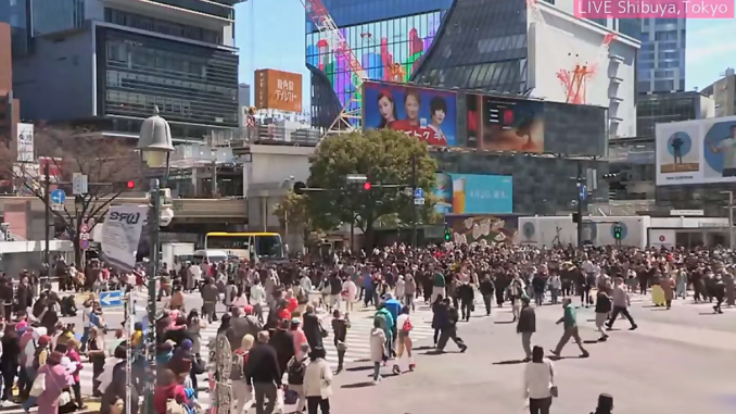 Cruce de Shibuya en Tokio a las 11.00 de 27022024