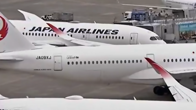 Aviones de JAL en Haneda