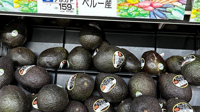 Palta peruana 2024 (1) 1030x600
