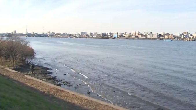Río Tamagawa