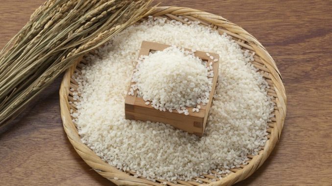 Arroz japonés (JA)