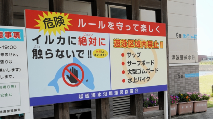 Cartel en Fukui, delfines