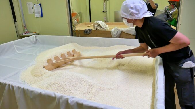 Preparación tradicional del sake (Foto Agencia de Asuntos Culturales)