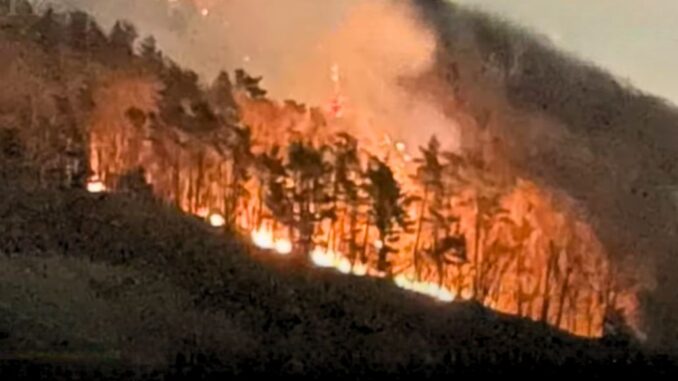 El incendio forestal en el monte Daizokyoji, Yamanashi, finalmente controlado después de diez días de esfuerzos. (YBS)