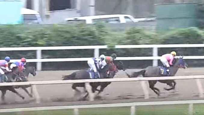 Kosuke Matsumoto (7) Hipódromo de Sonoda, septiembre de 2018. (YouTube)