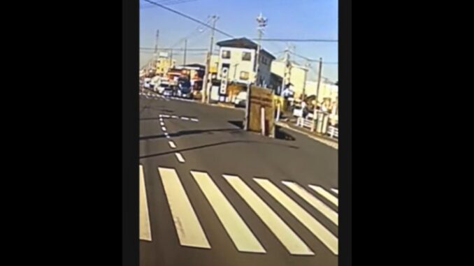 Momento en que el camión cae en el zocavón de Saitama (JNN)