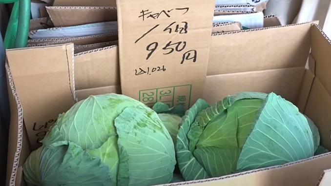 Sábado 11 de enero en Tokio. Repollo a más de 1.000 yenes con impuesto en Tokio
