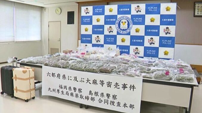 Drogas incautadas en Fukuoka con un valor de 100 millones de yenes