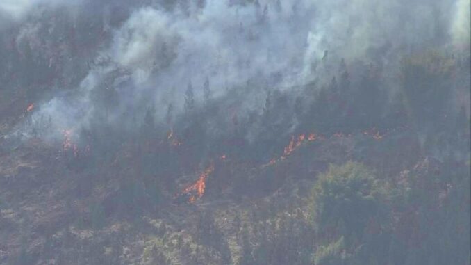 Incendio en Miyazaki (Imagen NHK)