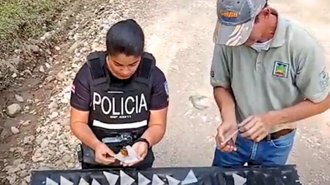 La policía costarricense libera las mariposas incautadas.