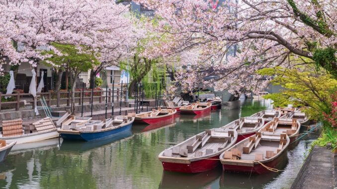 Mitsuhashira en Yanagawa, prefectura de Fukuoka (Foto Blanscape)