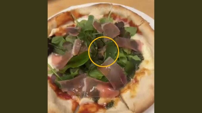 Caracol sobre la pizza servida en Joyfull (imagen @yutaka_thrasher X)