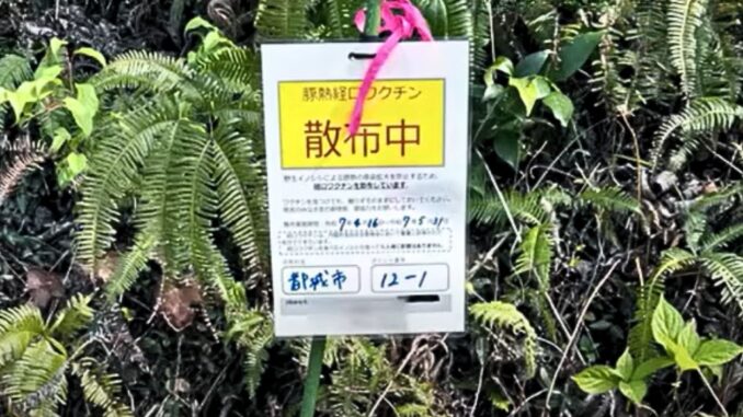 Cartel informativo sobre el esparcimiento de vacuna oral contra la peste porcina en Miyazaki.