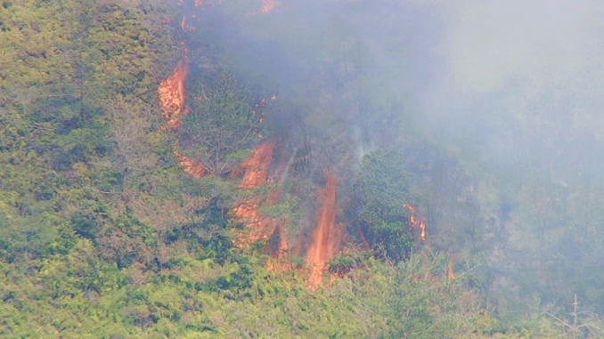 Fuego en una montaña de la ciudad de Goto, en Nagasaki (NNN)