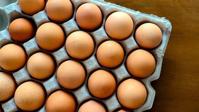 Huevos (imagen referencial)