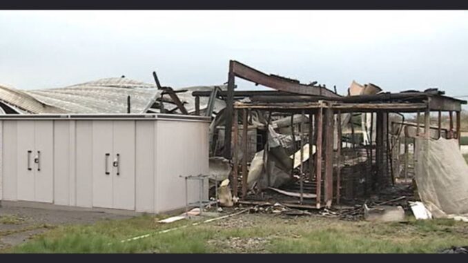 Imagen del criadero de perros en Niigata tras el incendio que causó la muerte de un centenar de animales. (NST)