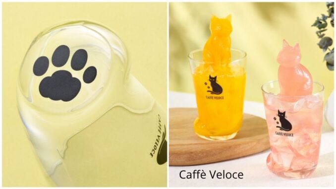 Vasitos del Café Veloce incluidos en la bolsa de verano 2025