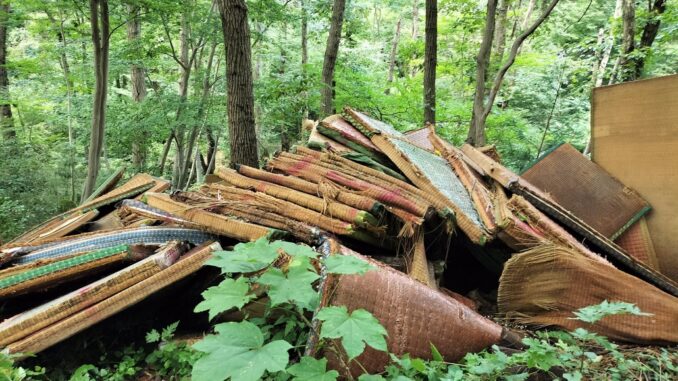Centenares de tatamis abandonados en la montaña de Tochigi