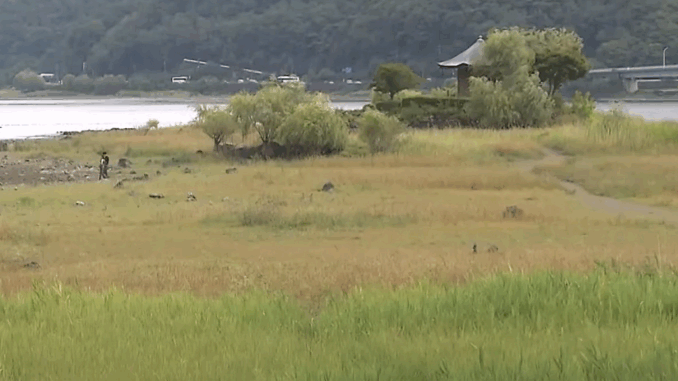 Sequía afecta gravemente el lago Kawaguchi en Yamanashi