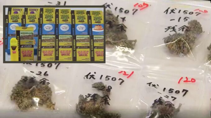 Marihuana incautada por la Policía de Osaka